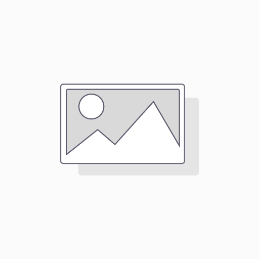 Module WordPress custom